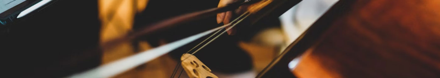 Το Ωδείο Σύγχρονη Ωδή προσφέρει εξαιρετικά μαθήματα βιολοντσέλου, έχοντας εξειδικευμένους καθηγητές με πολυετή πείρα