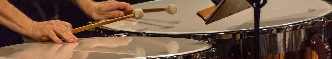 Το Ωδείο Σύγχρονη Ωδή προσφέρει εξαιρετικά μαθήματα κρουστών, έχοντας εξειδικευμένους καθηγητές με πολυετή πείρα