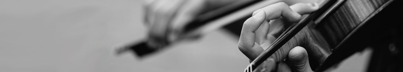 Το Ωδείο Σύγχρονη Ωδή προσφέρει εξαιρετικά μαθήματα βιολιού, έχοντας εξειδικευμένους καθηγητές με πολυετή πείρα